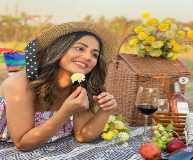 हिना खान कई टीवी सीरियलों में आ चुकी हैं नजर